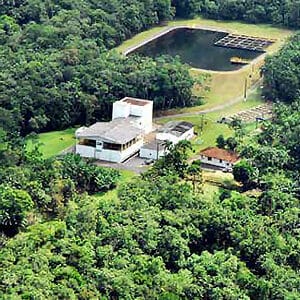 Aerial view of green vegetation and residential buildings