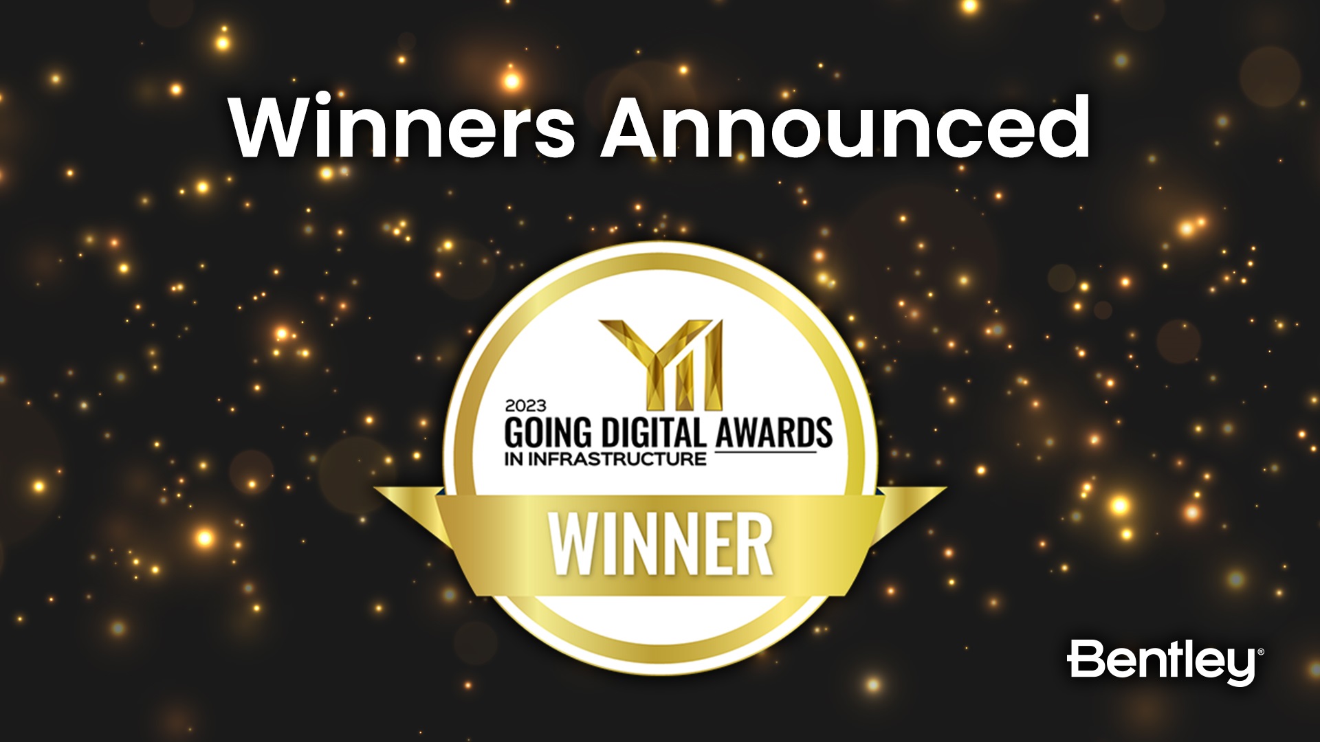 Going Digital Award Winners