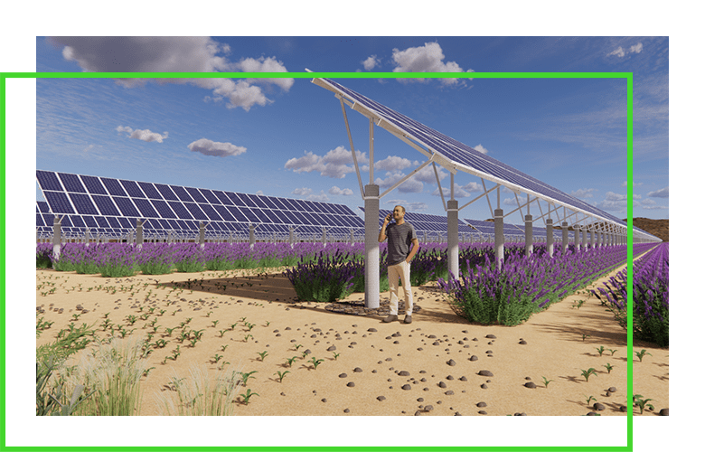 computer generated rendering of guy standing by a field of solar panels